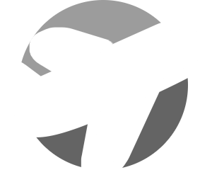 DataMine Travel Logo Gray
