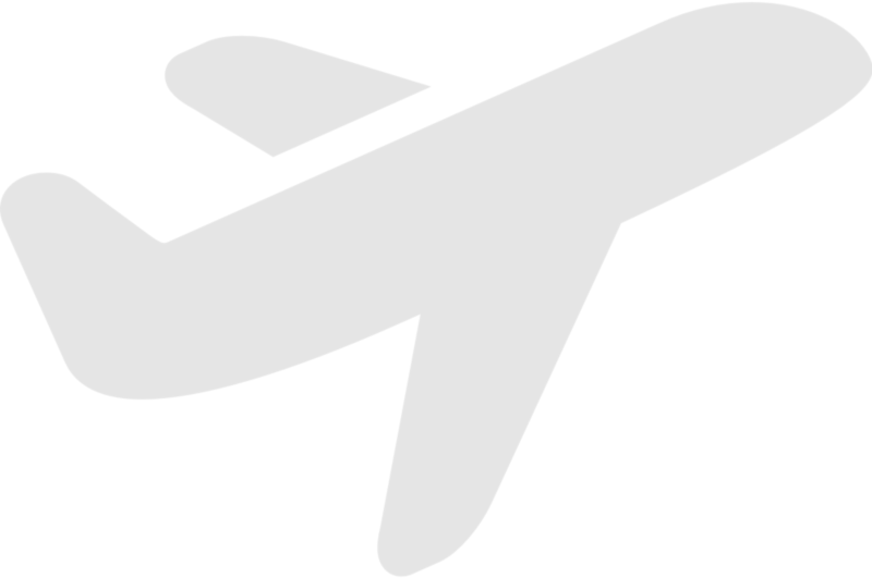 DataMine Travel watermark plane